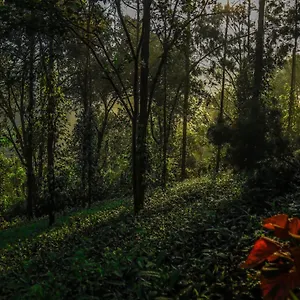 Resort Southern Panorama Indriya &, Munnar